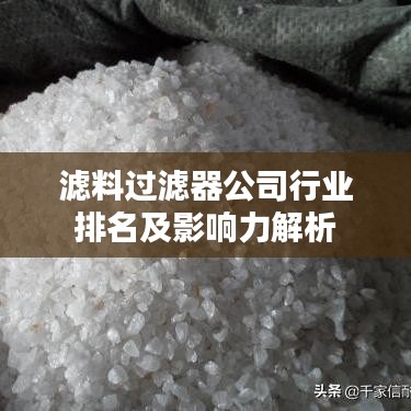 濾料過濾器公司行業(yè)排名及影響力解析