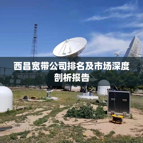 西昌寬帶公司排名及市場深度剖析報(bào)告