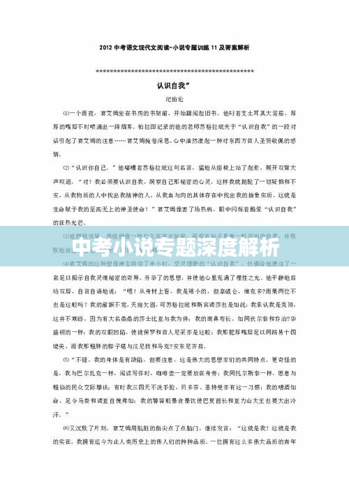 中考小說專題深度解析