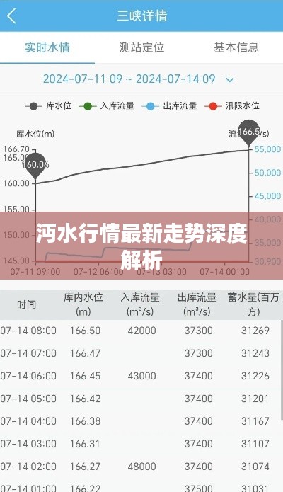 沔水行情最新走勢深度解析