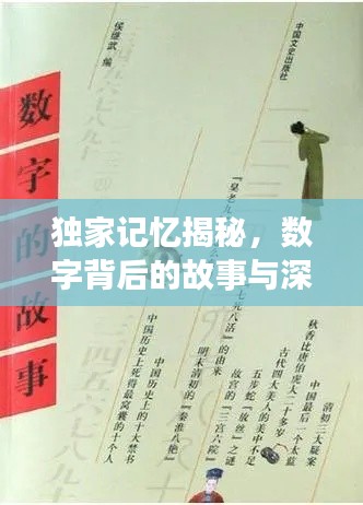 獨家記憶揭秘，數(shù)字背后的故事與深意探尋