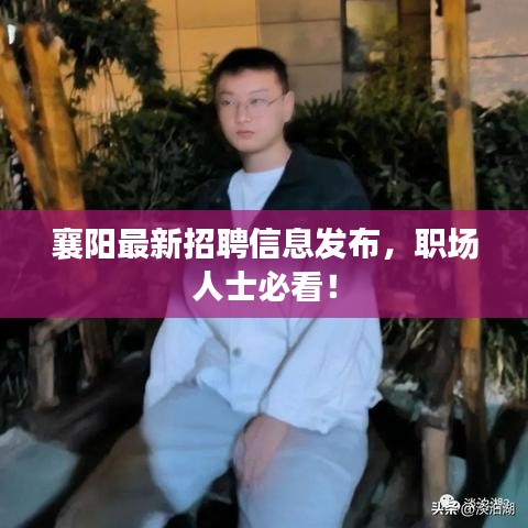 襄陽最新招聘信息發(fā)布，職場人士必看！