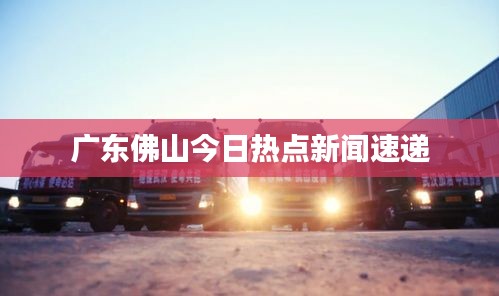 廣東佛山今日熱點新聞速遞