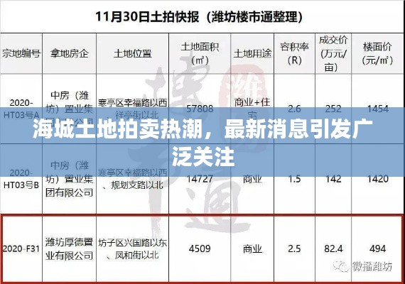 海城土地拍賣熱潮，最新消息引發(fā)廣泛關注