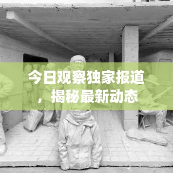 今日觀察獨家報道，揭秘最新動態(tài)