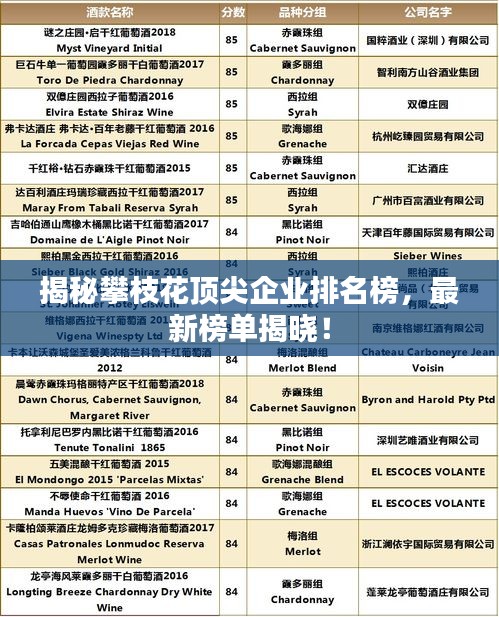 揭秘攀枝花頂尖企業(yè)排名榜，最新榜單揭曉！