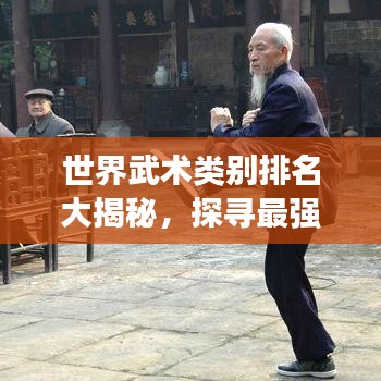 世界武術(shù)類別排名大揭秘，探尋最強(qiáng)武術(shù)流派！