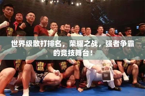 世界級(jí)散打排名，榮耀之戰(zhàn)，強(qiáng)者爭(zhēng)霸的競(jìng)技舞臺(tái)！