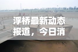 浮橋最新動態(tài)報道，今日消息更新速遞