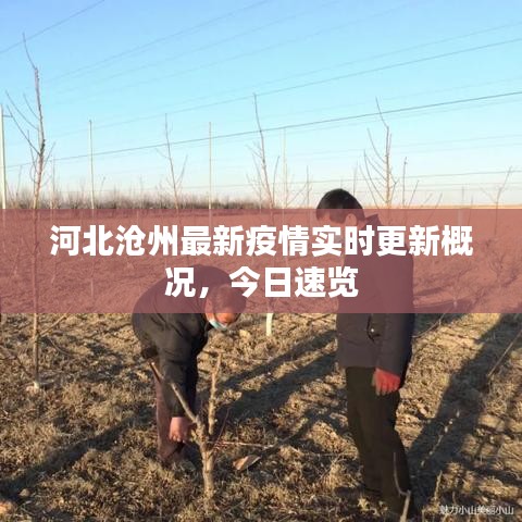 河北滄州最新疫情實(shí)時(shí)更新概況，今日速覽
