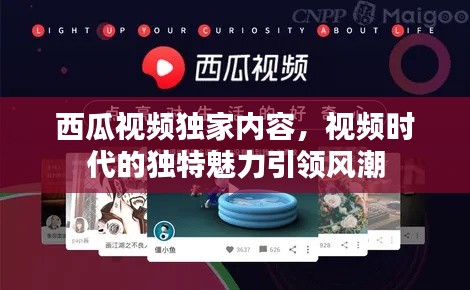 西瓜視頻獨(dú)家內(nèi)容，視頻時(shí)代的獨(dú)特魅力引領(lǐng)風(fēng)潮