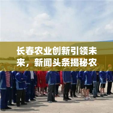 長(zhǎng)春農(nóng)業(yè)創(chuàng)新引領(lǐng)未來(lái)，新聞?lì)^條揭秘農(nóng)業(yè)新動(dòng)向與發(fā)展戰(zhàn)略