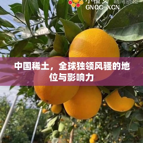 中國稀土，全球獨領風騷的地位與影響力