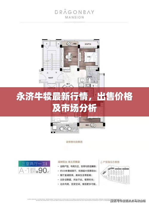 永濟(jì)牛犢最新行情，出售價(jià)格及市場(chǎng)分析