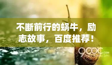 不斷前行的蝸牛，勵(lì)志故事，百度推薦！
