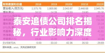 泰安追債公司排名揭秘，行業(yè)影響力深度解析