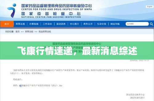 飛康行情速遞，最新消息綜述