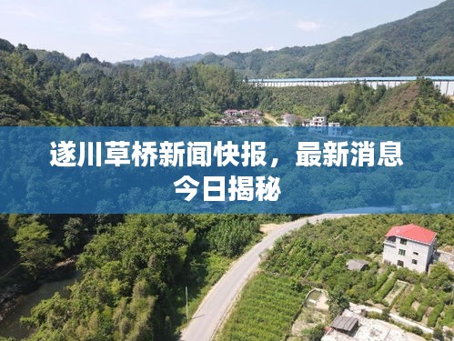 遂川草橋新聞快報(bào)，最新消息今日揭秘