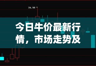 今日牛價(jià)最新行情，市場(chǎng)走勢(shì)及影響因素深度解析