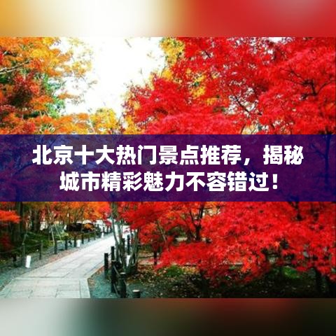 北京十大熱門(mén)景點(diǎn)推薦，揭秘城市精彩魅力不容錯(cuò)過(guò)！
