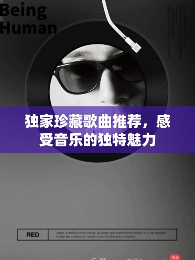 獨(dú)家珍藏歌曲推薦，感受音樂的獨(dú)特魅力