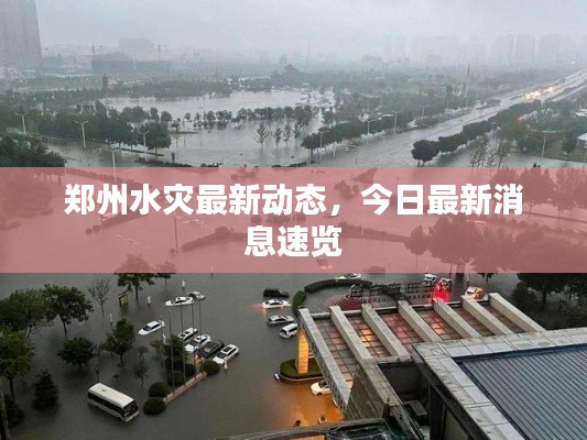 鄭州水災(zāi)最新動態(tài)，今日最新消息速覽