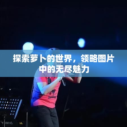 探索蘿卜的世界，領(lǐng)略圖片中的無盡魅力
