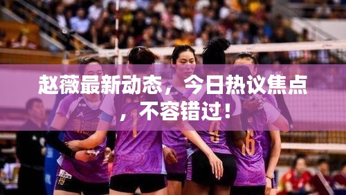 趙薇最新動態(tài)，今日熱議焦點，不容錯過！