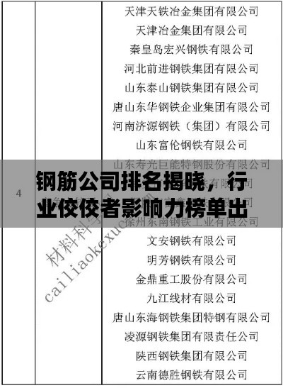鋼筋公司排名揭曉，行業(yè)佼佼者影響力榜單出爐！