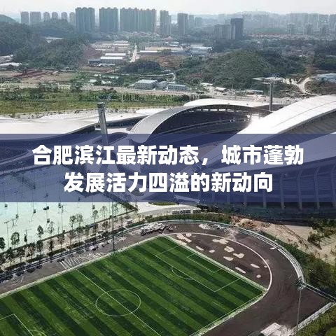 合肥濱江最新動態(tài)，城市蓬勃發(fā)展活力四溢的新動向