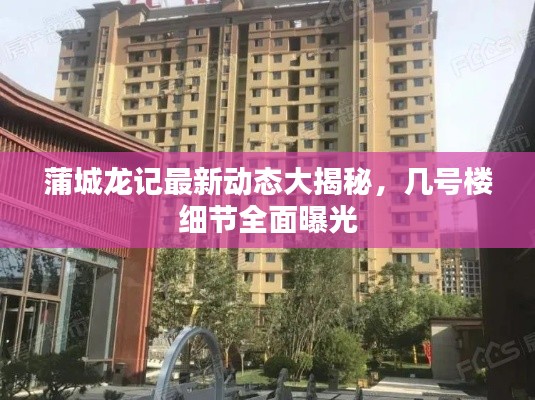 蒲城龍記最新動態(tài)大揭秘，幾號樓細節(jié)全面曝光