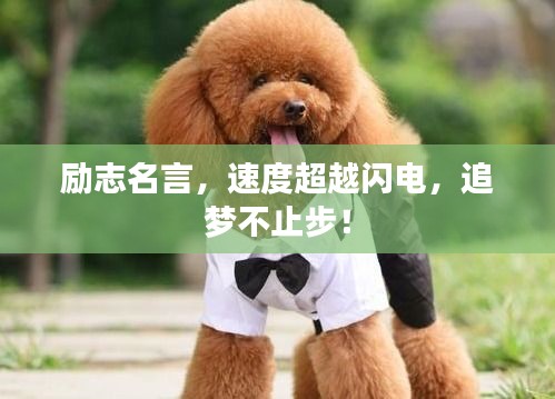 勵志名言，速度超越閃電，追夢不止步！