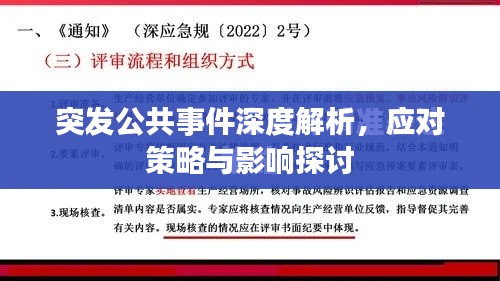 突發(fā)公共事件深度解析，應(yīng)對策略與影響探討