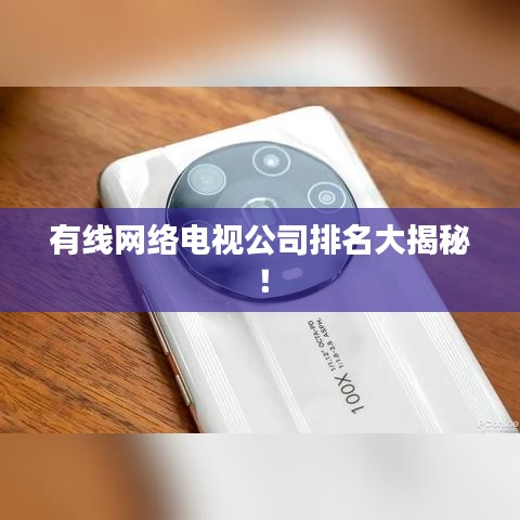 有線網(wǎng)絡(luò)電視公司排名大揭秘！
