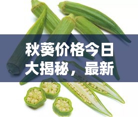 秋葵價(jià)格今日大揭秘，最新行情一網(wǎng)打盡