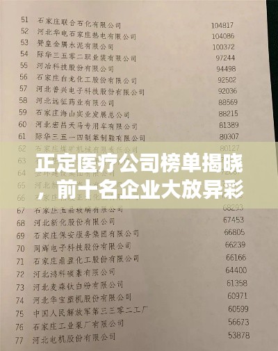 正定醫(yī)療公司榜單揭曉，前十名企業(yè)大放異彩！