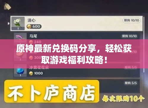 原神最新兌換碼分享，輕松獲取游戲福利攻略！