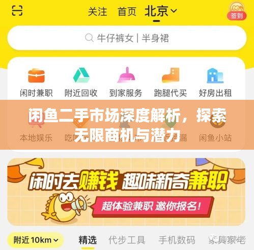 閑魚二手市場(chǎng)深度解析，探索無限商機(jī)與潛力