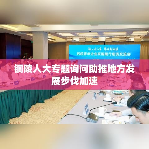 銅陵人大專題詢問助推地方發(fā)展步伐加速