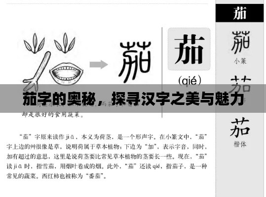 茄字的奧秘，探尋漢字之美與魅力