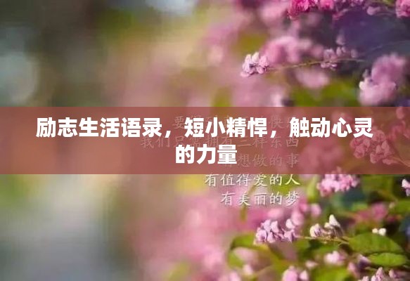 勵(lì)志生活語(yǔ)錄，短小精悍，觸動(dòng)心靈的力量
