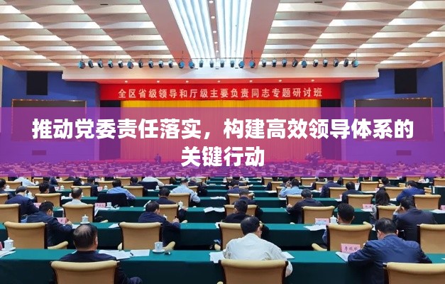 推動黨委責任落實，構(gòu)建高效領(lǐng)導體系的關(guān)鍵行動