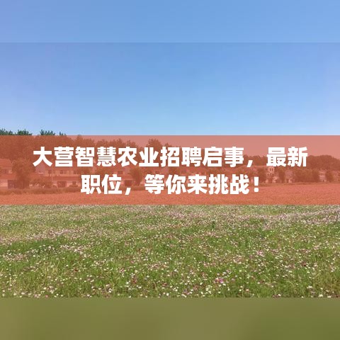 大營智慧農(nóng)業(yè)招聘啟事，最新職位，等你來挑戰(zhàn)！
